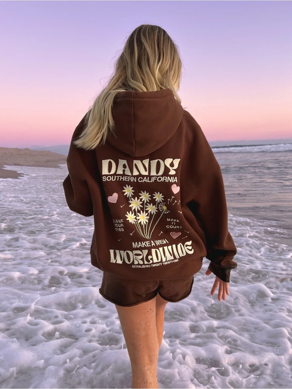 Dandy Worldwide Make A Wish Oversized Lux Hoodie Brown Graphic LA Cali Medium